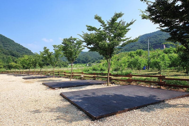 연산 황산벌오토캠핑장 시설 사진 9