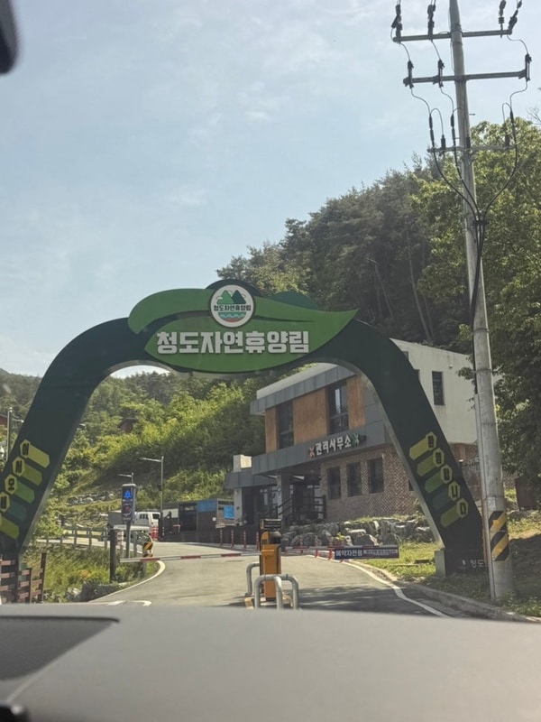 [캠핑장 리뷰] 청도자연휴양림 캠핑장 : 시설은 A급, 벌레는 B급?