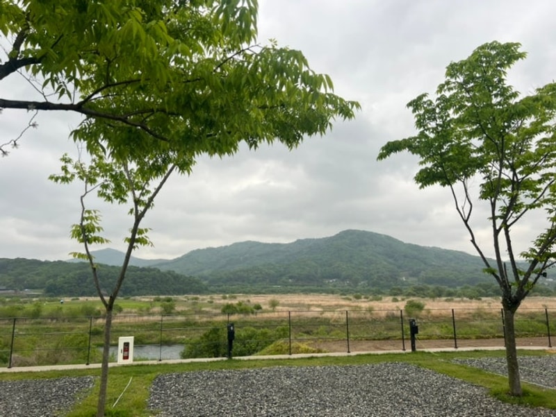 충주 애견동반 캠핑장 추천! 강변뷰가 너무 좋았던 캠프 202