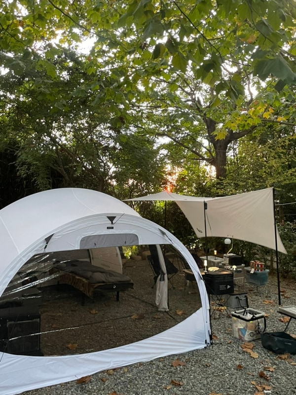 [남해캠핑]버드하우스캠핑장 - 그라운드커버 몰티하우스맥스