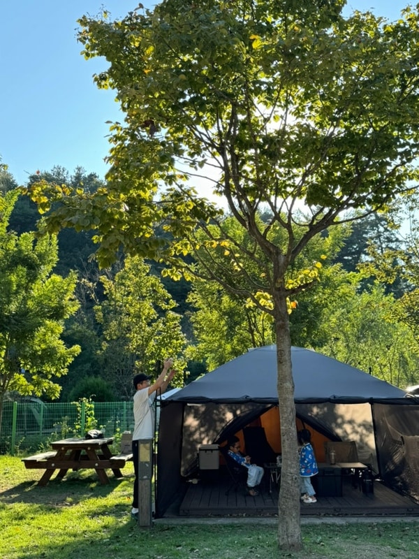 [아이들과 캠핑] 김제 모악산캠핑파크