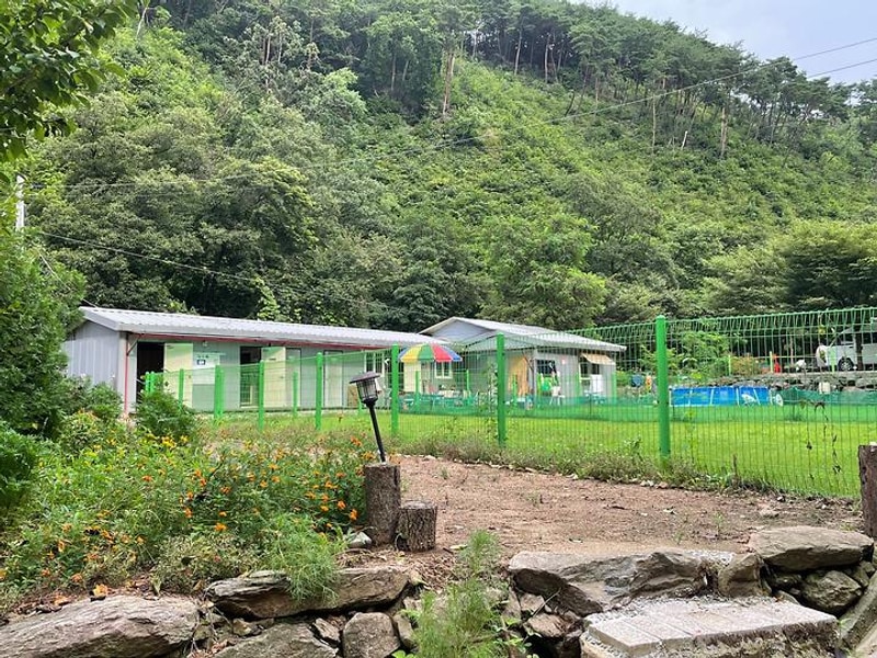 반딧불 캠핑장 대표 사진