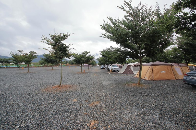 캠프원 관광농원 시설 사진 6