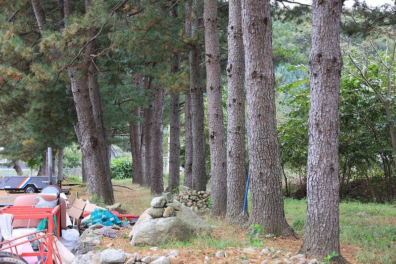 팔봉참살이오토캠핑장 시설 사진 12