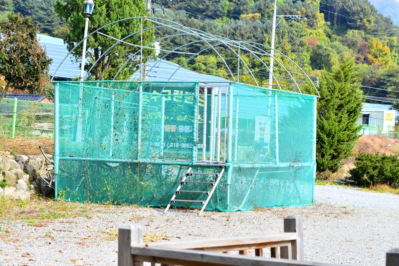 용수 그린랜드 시설 사진 23