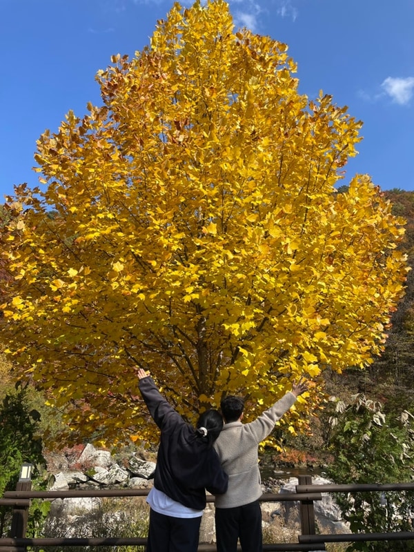 [무주|깊은골캠핑장] 쑥이네,무주 깊은골캠핑장 C12사이트...