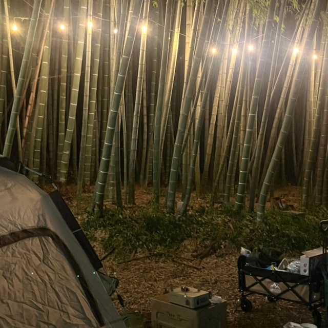 담양 대나무골 야영장 대표 사진