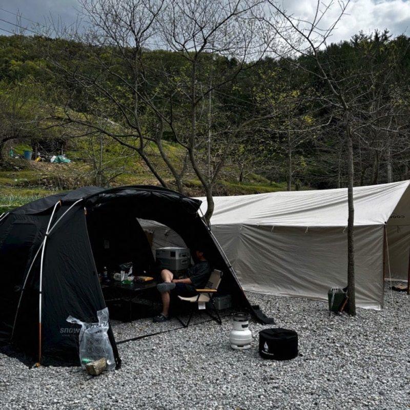 [정읍] 애견동반캠핑 자두마을캠핑장 솔직후기