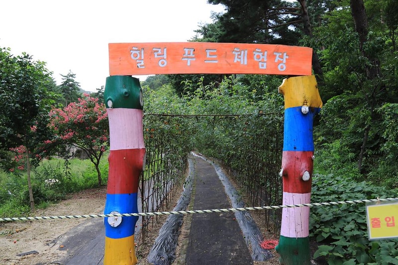 국립검봉산자연휴양림야영장 시설 사진 13