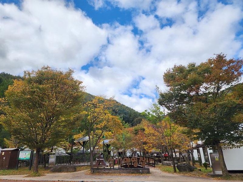 소백산삼가야영장 대표 사진