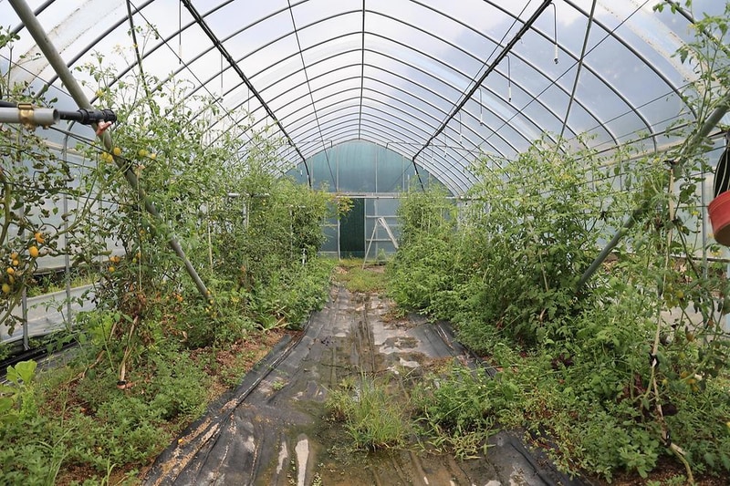 야호캠핑장 시설 사진 16