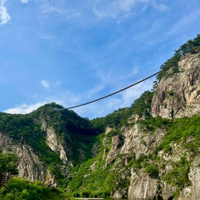 피톤치드 글램핑장 대표 사진