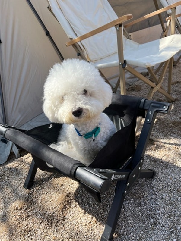 써모 캠핑일기 - 위드독스 in 포천