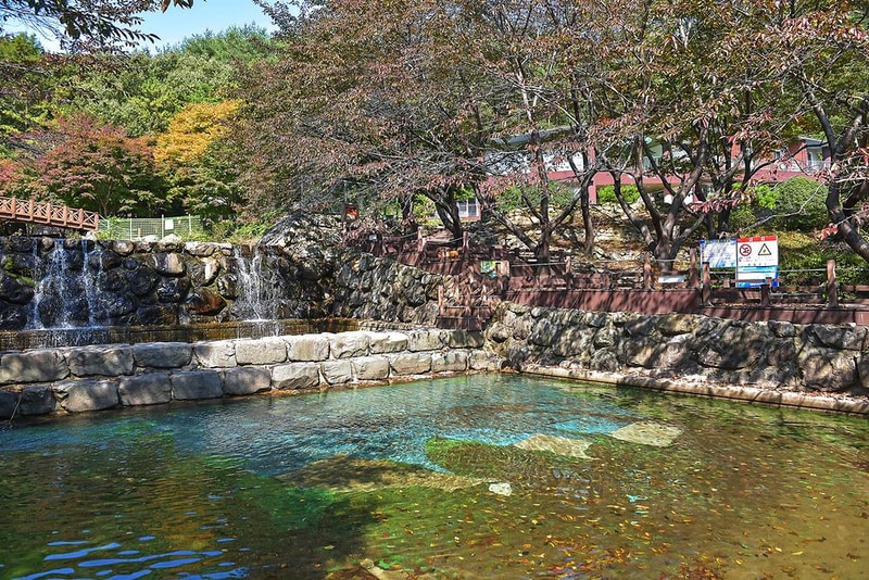 제암산자연휴양림 야영장 시설 사진 10