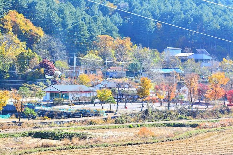 한송오토캠핑장 대표 사진