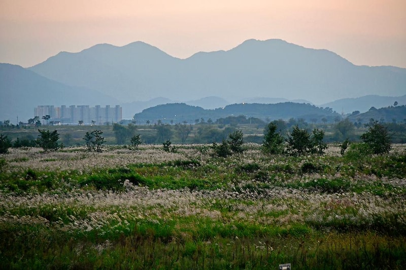 밀양아리랑 오토캠핑장 시설 사진 15