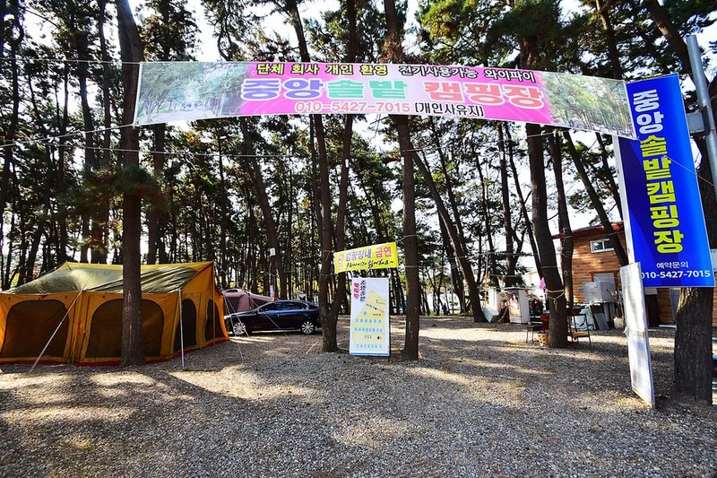 춘장대 중앙솔밭캠핑 시설 사진 17