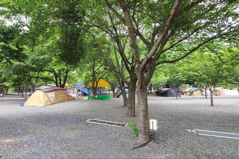 알프스캠핑 시설 사진 6