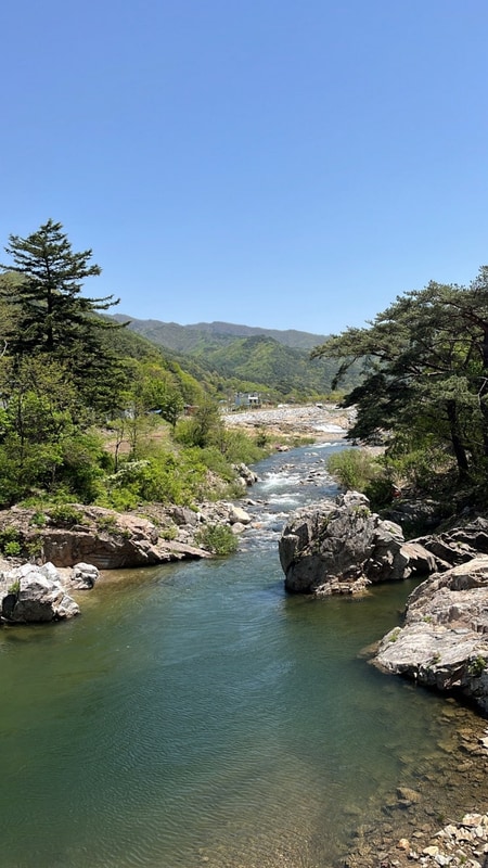 [무주] 양지뜰캠핑장 B-4 내돈내산 비추천