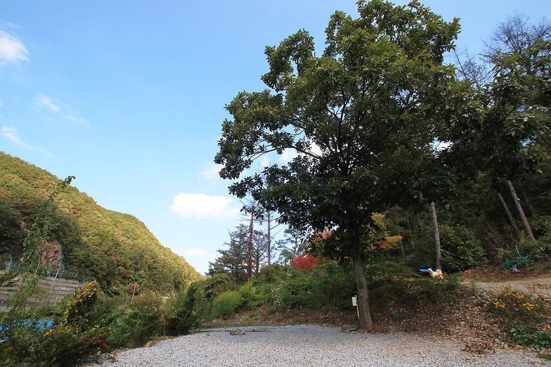 속리산알프스캠핑장&펜션 시설 사진 8