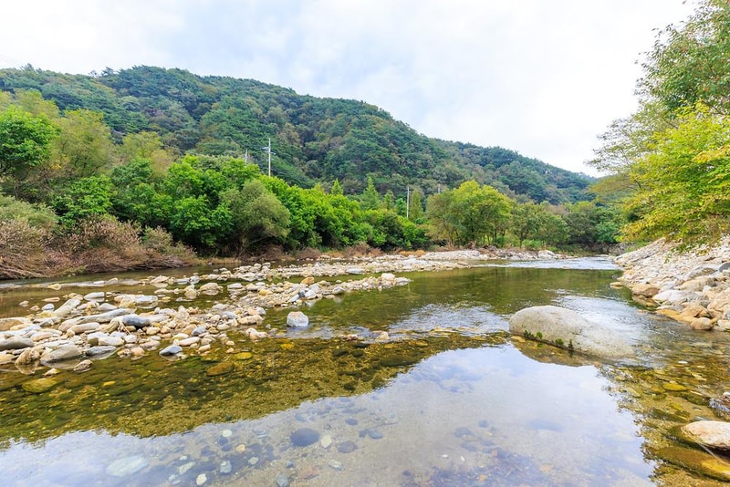 꽃댕이오토캠핑장 시설 사진 9