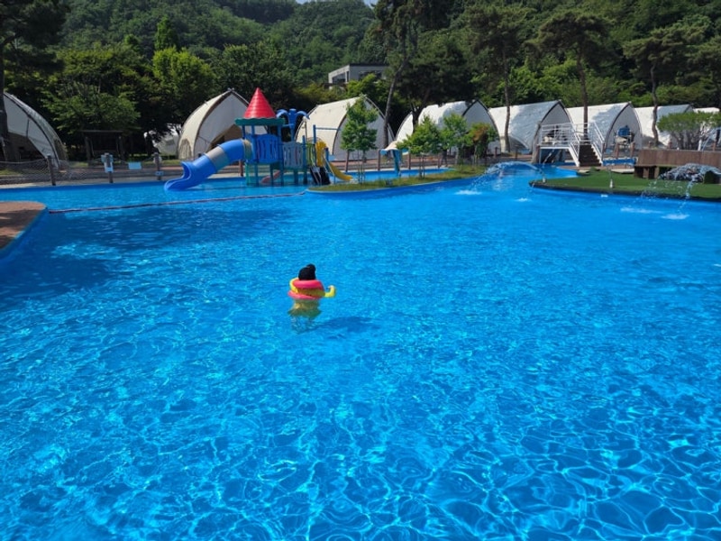 [세종시 다온숲] 글램핑, 당일 물놀이 가능! 아이랑 가기 좋은...