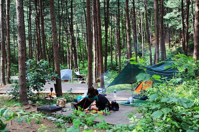 호명산잣나무숲속캠핑장 시설 사진 22