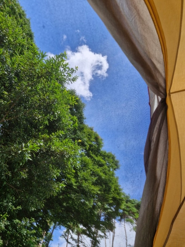 여행 250816 :: 부여리틀빌리지 캠핑