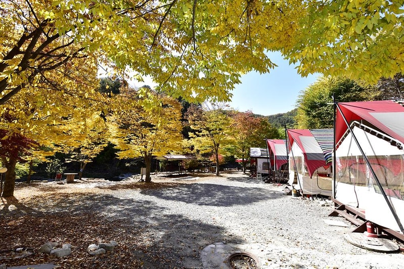 알파고글램핑 시설 사진 6