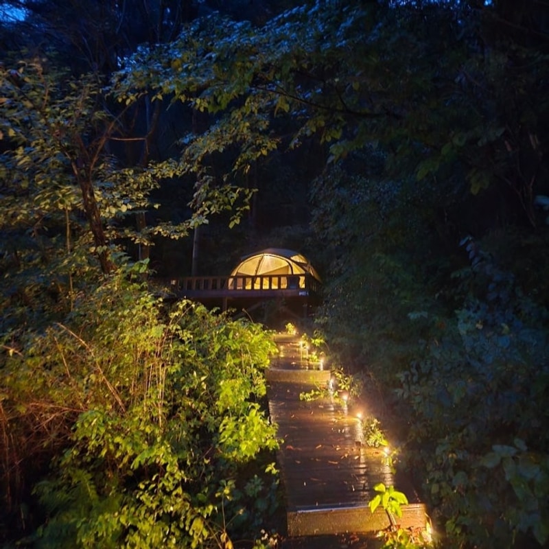 강원도 영월캠프 숲속데크4 사이트 헬리녹스 노나돔 코요테탄...