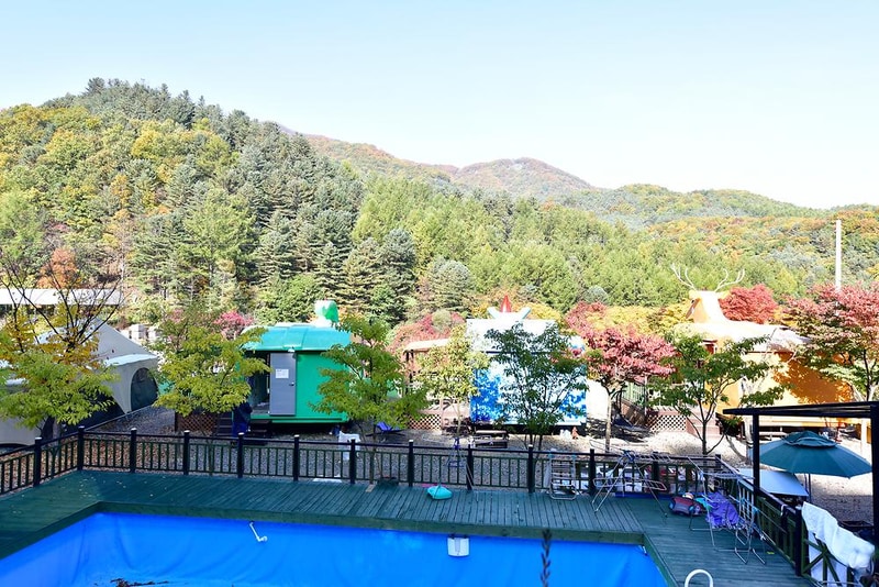 동물카라반 시설 사진 4