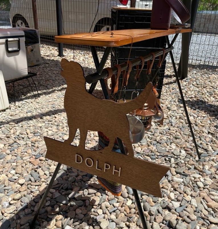 [캠프정감] 집이 최고라고? 난 여기가 최고던데..? / 아산 대형견...