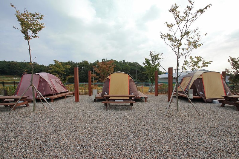 서천 금빛노을 서울캠핑장 시설 사진 8