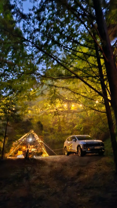 용인 파이브이모션 관광농원 캠핑장 D5 이용기