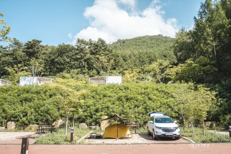 캠핑일기 #63. 태백산국립공원 소도 야영장 (하늘전망대)