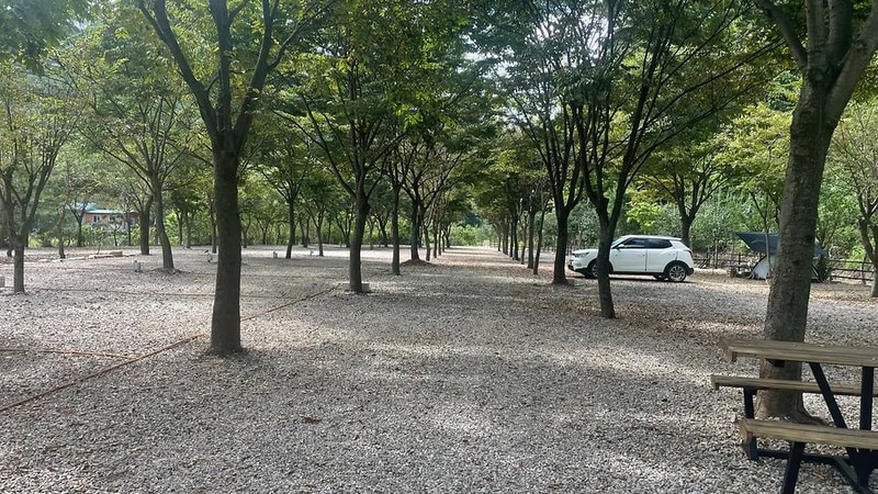 좋은하루캠핑장 시설 사진 5