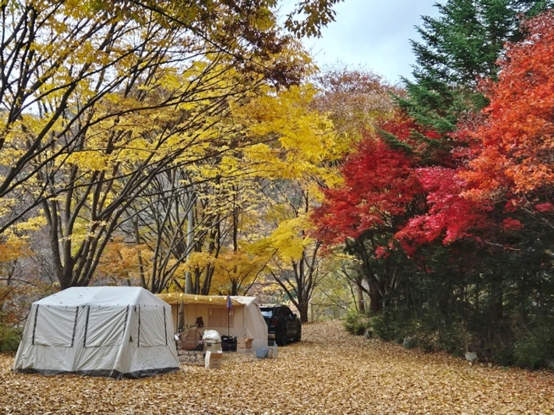 가평 캠핑장 캠핑 플레이 파쇄석 가을 캠핑 즐기고 온 내돈내산...