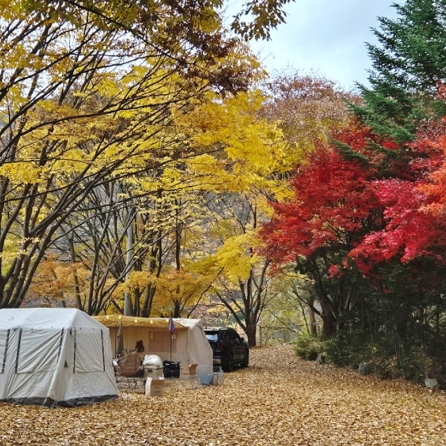 캠핑플레이 대표 사진