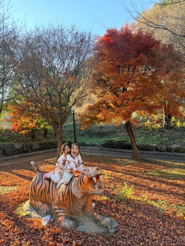 72개월아기/52개월아기/의령맛집/화정소바/벽계야영장/캠핑장...