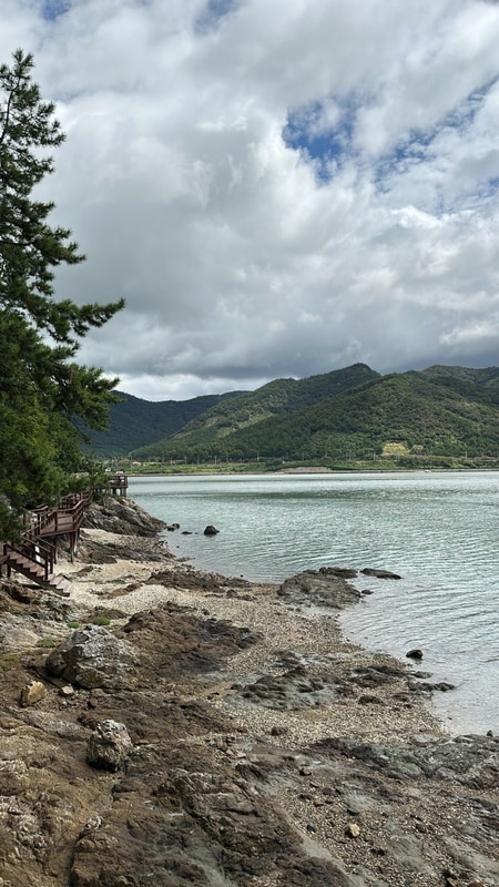 브레드세븐/얌얌분식/강진여행/온길글램핑/청자식당/쨈과크림