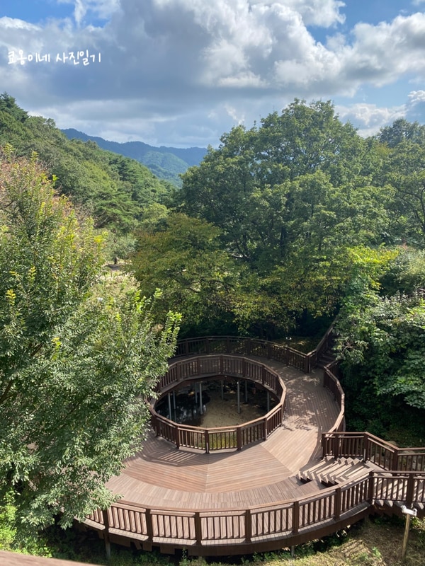 아이와 함께 하기 좋은 캠핑장 추천 '함양 대봉캠핑랜드'