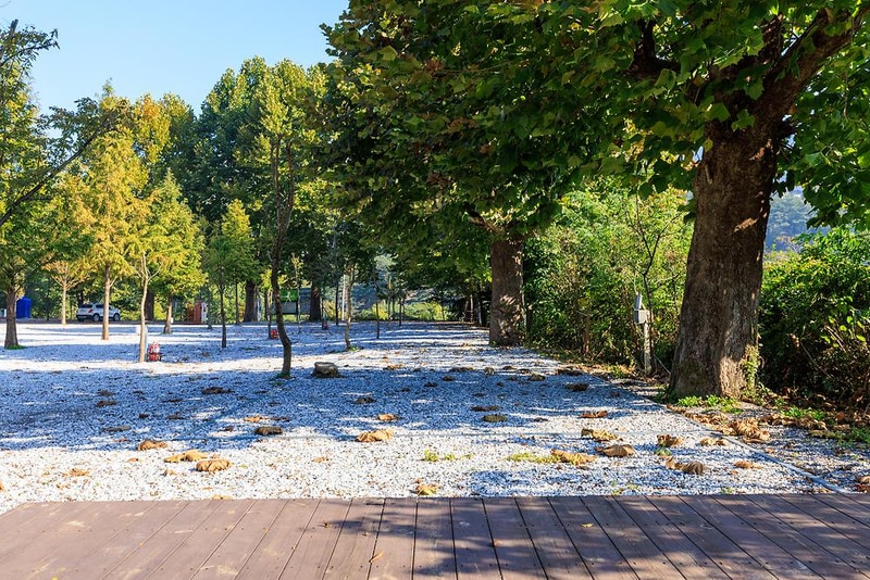 시골학교캠핑장 시설 사진 6