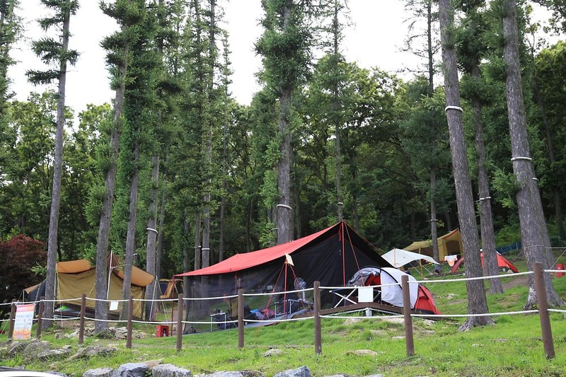 덕산국민여가캠핑장 시설 사진 24