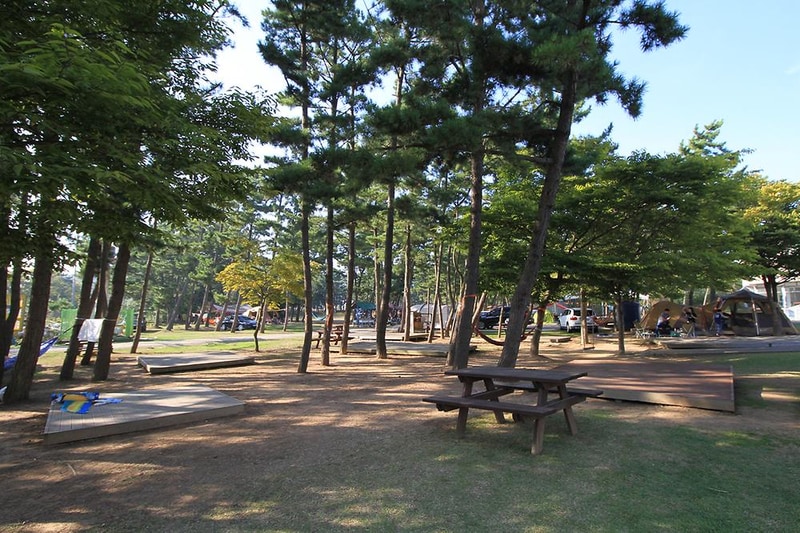 청포대숲속야영장 시설 사진 17