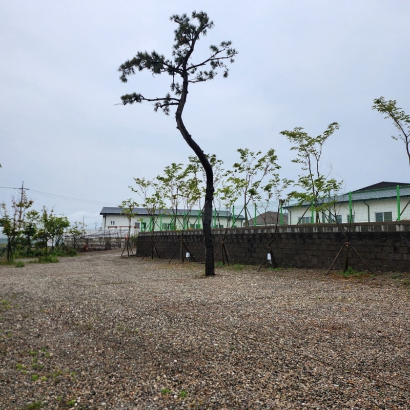 포항 석병관광농원야영장 / 아이들과 즐거운 캠핑