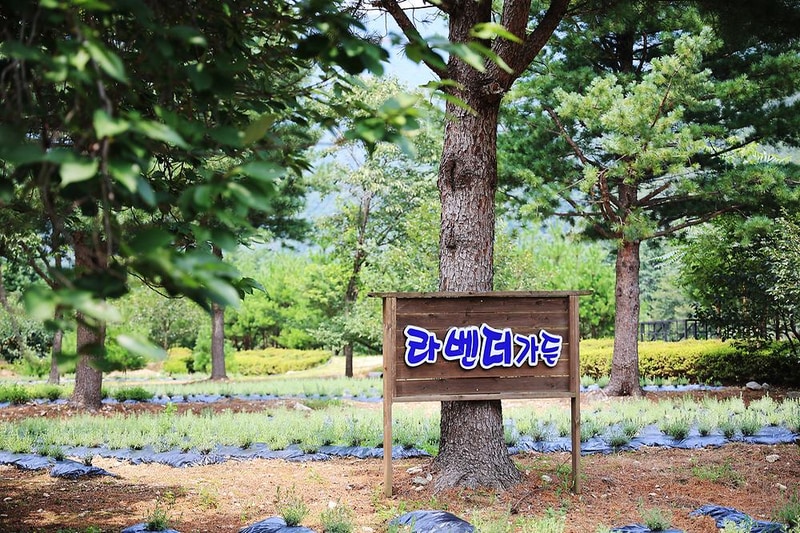 오색허브농원 캠핑장 시설 사진 2