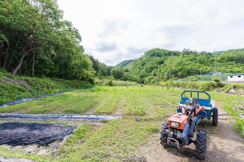 에덴오토캠핑장 시설 사진 14
