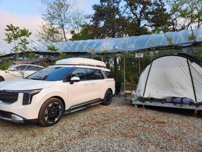 삼형제와 수도권 근교 안성 포도길 캠핑장에 다녀왔어요 :)