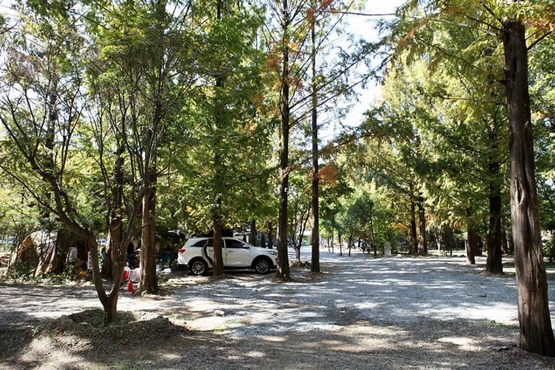 반디캠프 대표 사진