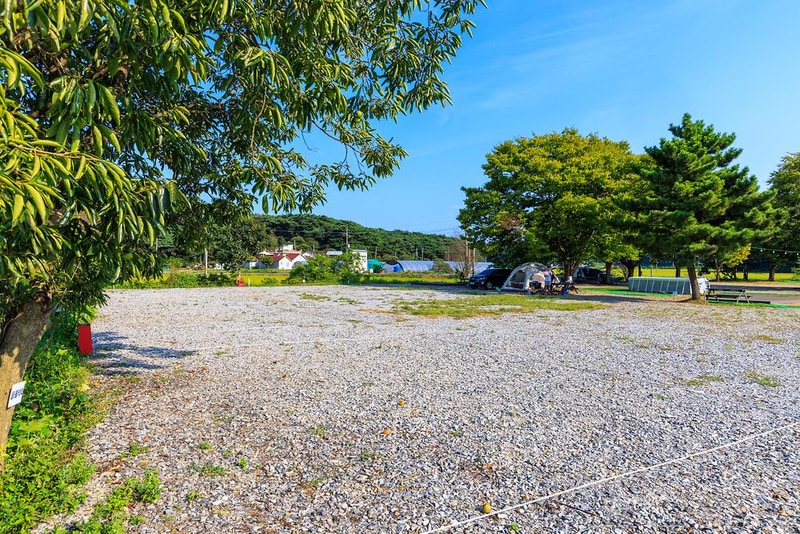 안면도힐링캠핑장 시설 사진 19